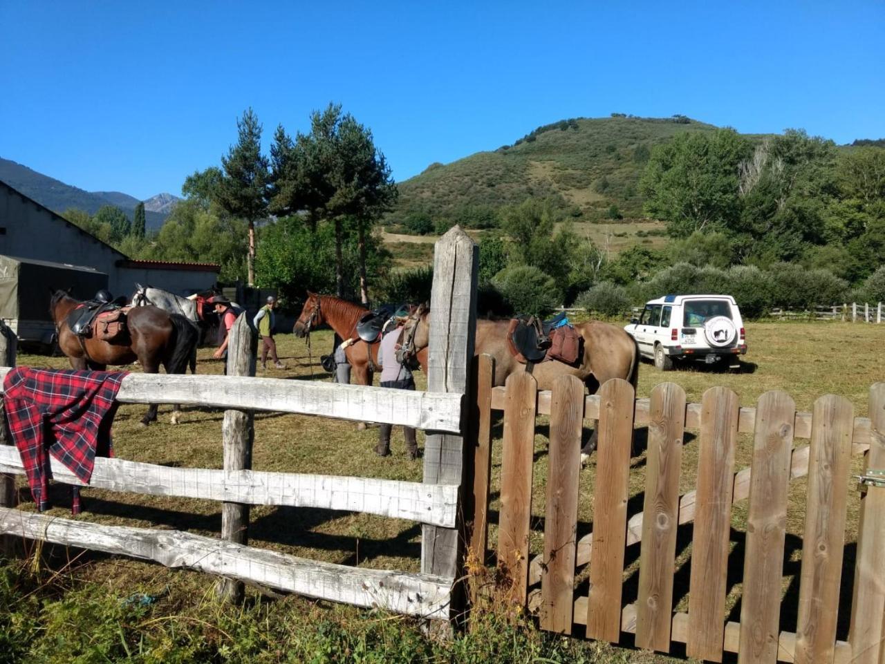 La Era Affittacamere Lario Esterno foto